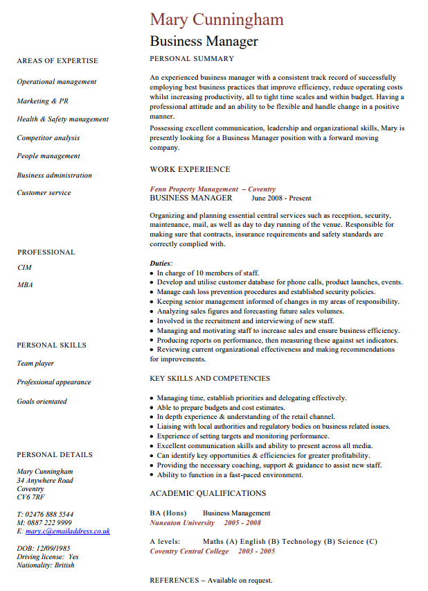 The 10 Best Executive Cv Examples And Templates