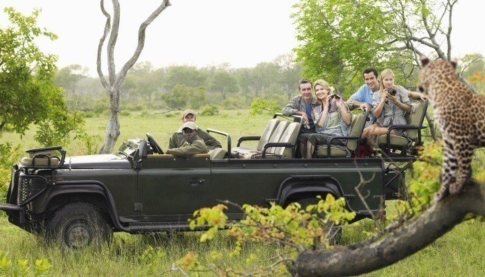 safari guides