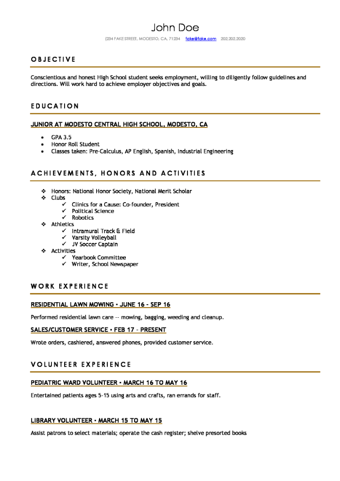 Student CV résumé example