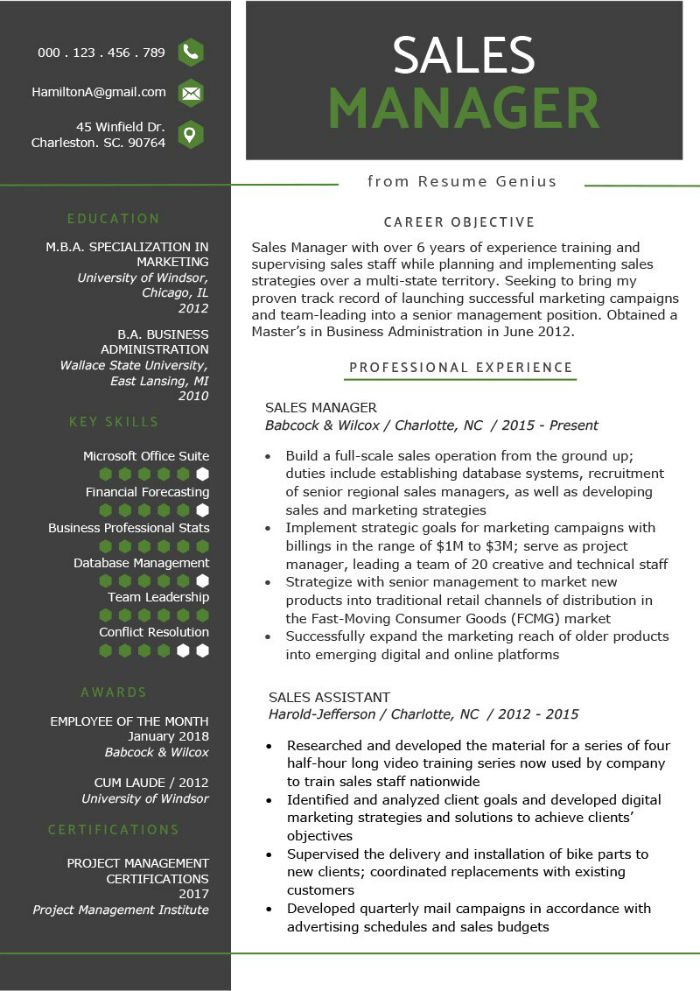 Sales manager CV résumé example