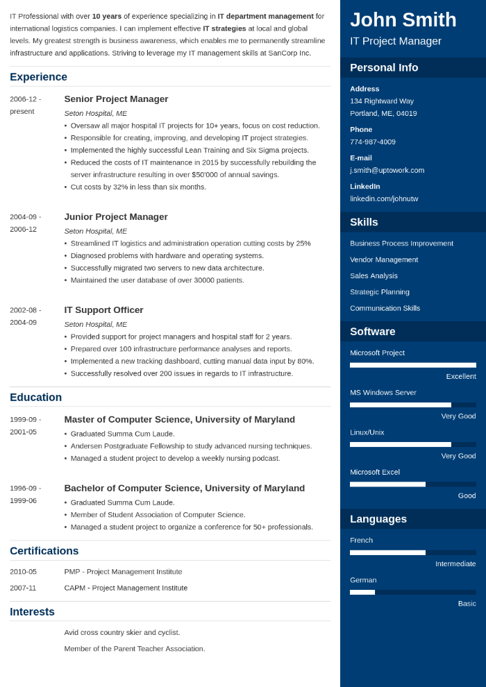 Best IT manager CV résumé example