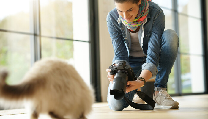 A woman photographing a cat