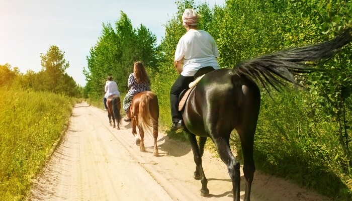 A group of people riding horses