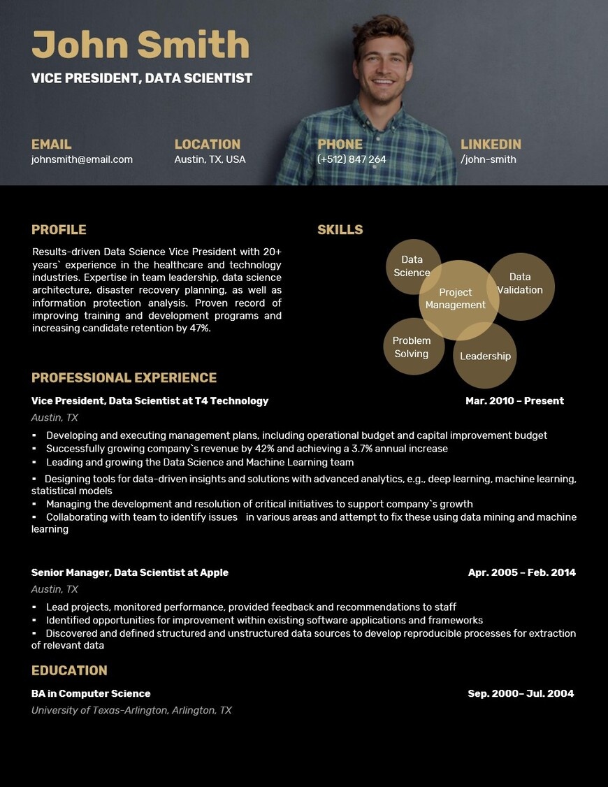 Vice president data scientist sleek resume template