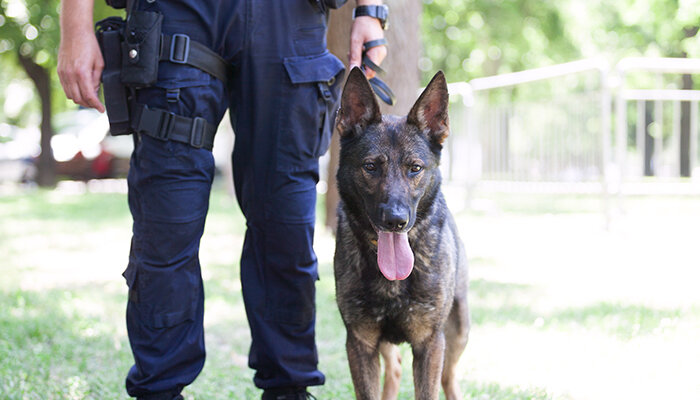K9 Police Officer - Best Jobs For Dog Lovers