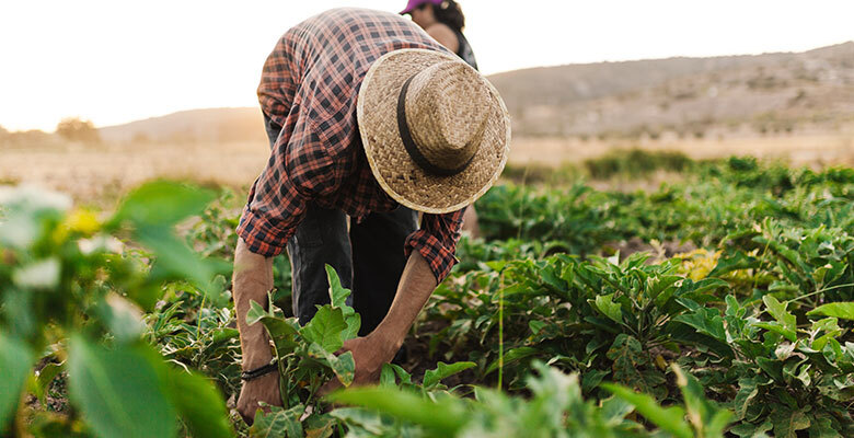 Farm Worker