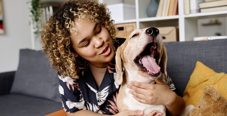 Pet Sitter
