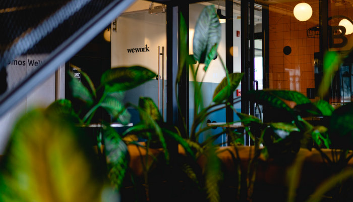Interior of WeWork office